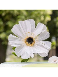 GIANT ANEMONE ON STEM DIA 30CM X 105CM