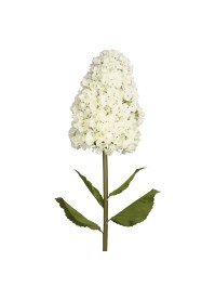 WHITE GIANT HYDRANGEA ON STEM DIA 35CM X 150CM