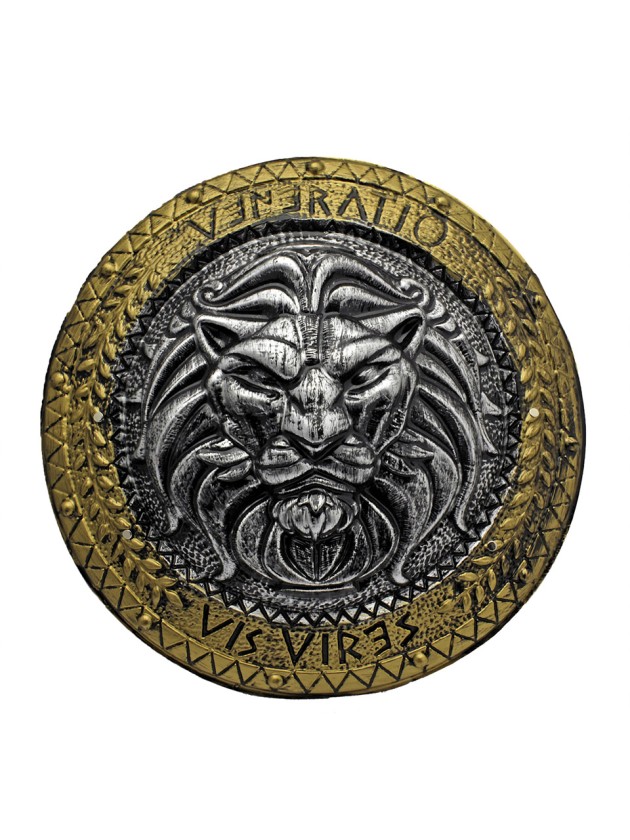 BOUCLIER VIKING DIA 45CM