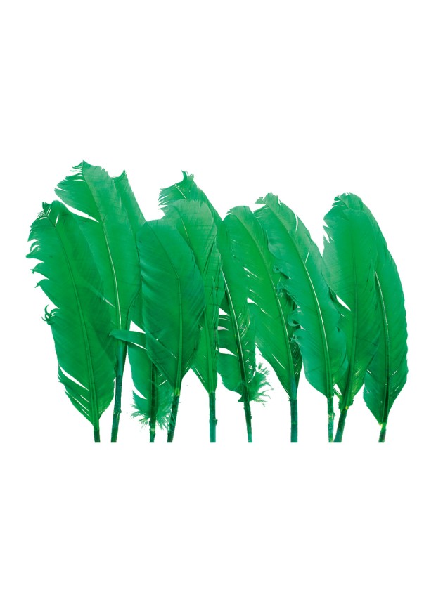 FEATHERS TURKEY 10 PER BAG GREEN AROUND 30CM