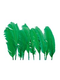10 PLUMES DE DINDE VERTES ENV 30CM
