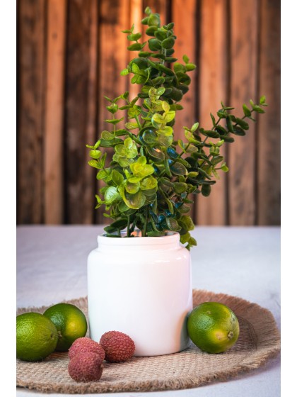 BRANCHE EUCALYPTUS VERT 70CM