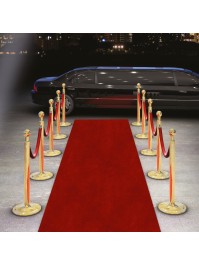 TAPIS ROUGE 1M X 15M