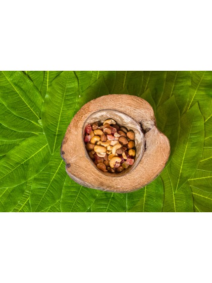 HALF COCO SHELL AROUND 18CM X 16CM X 7CM