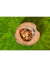 HALF COCO SHELL AROUND 18CM X 16CM X 7CM