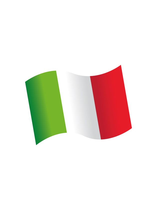 BAG OF 16 WOODEN TABLE CONFETTIS ITALIAN FLAG 3.7CM X 3CM