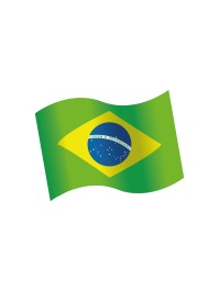 BAG OF 16 WOODEN TABLE CONFETTIS BRAZILIAN FLAG 3.7CM X 3CM
