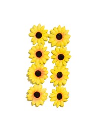 LOT 30 TOURNESOLS 4CM