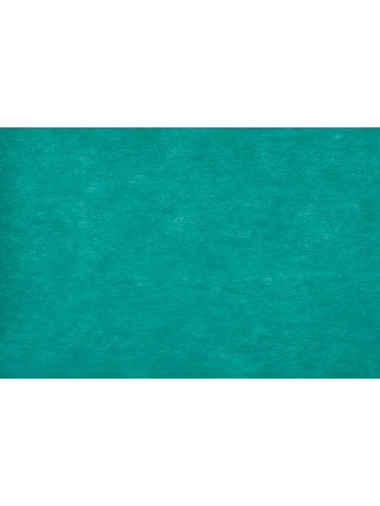 RUBAN ELEGANCE CARAIBE 10CM X 20M