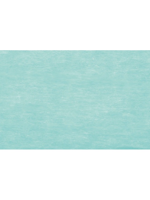 RUBAN ELEGANCE VERT PASTEL 10CM X 20M