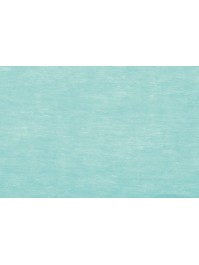 RUBAN ELEGANCE VERT PASTEL 10CM X 20M