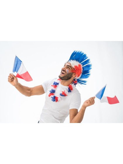 CREST WIG FRENCH SUPPORTER 40CM X 27CM HT 