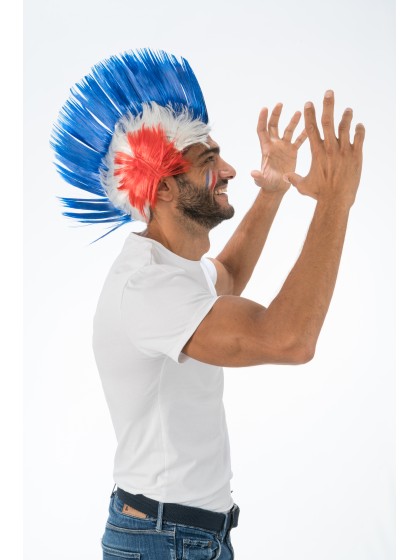 CREST WIG FRENCH SUPPORTER 40CM X 27CM HT 