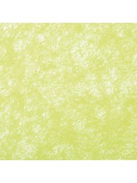 LIME GREEN ROMANCE DECO RIBBON 10CM X 10M