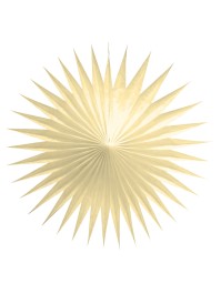 SET 3 FANS IVORY 17CM