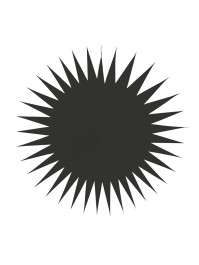 SET DE 3 EVENTAILS NOIR 17CM