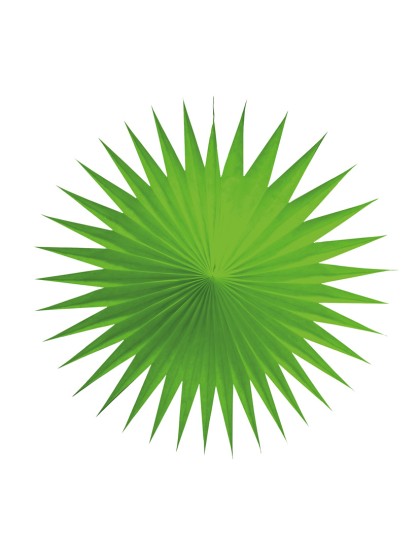 SET 3 FANS 17CM ANISE GREEN 