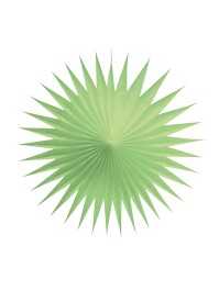 SET 3 FANS PASTEL GREEN 17CM