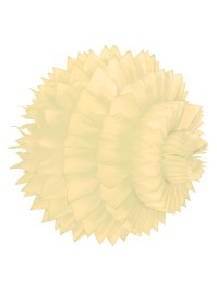 SPIKY BALL IVORY 25CM