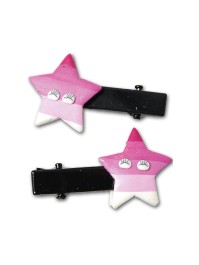 KLAMMER HAAR SEESTERN 2PCS 