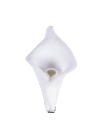 SET 6 ARUMS BLANC PERLE SUR PINCE  2,5CM