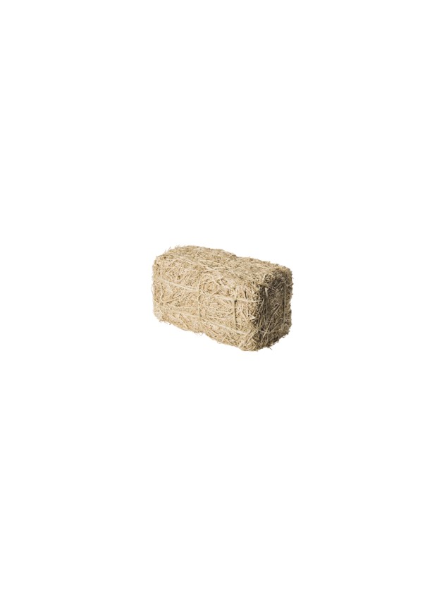 GRASS BRICK 9CM X 4CM X 4CM