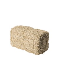 BALE OF HAY 25CM X 13CM X 13CM
