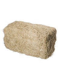 BALE OF HAY 35CM X 18CM X 18CM