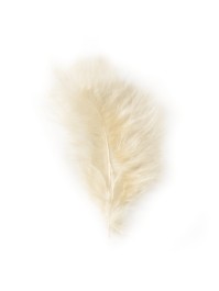 5 FEDERN ELFENBEIN 10-15CM