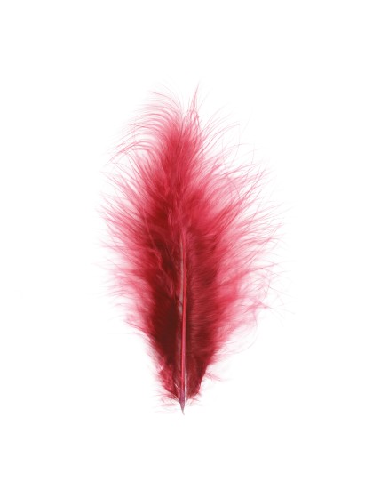 5 BURGUNDY FEATHERS  10-15CM