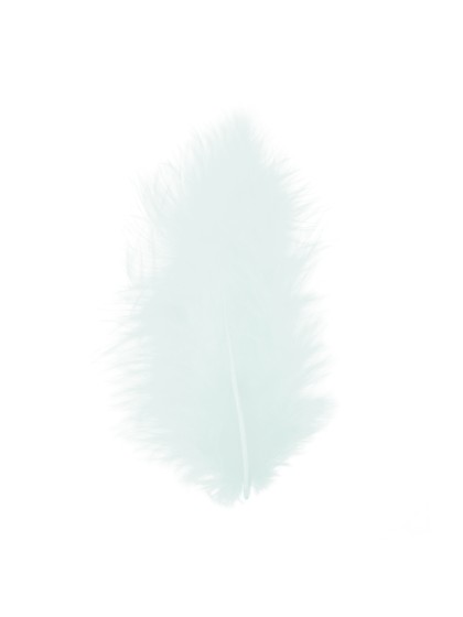 5 FEDERN GRÜN PASTELL 10-15CM