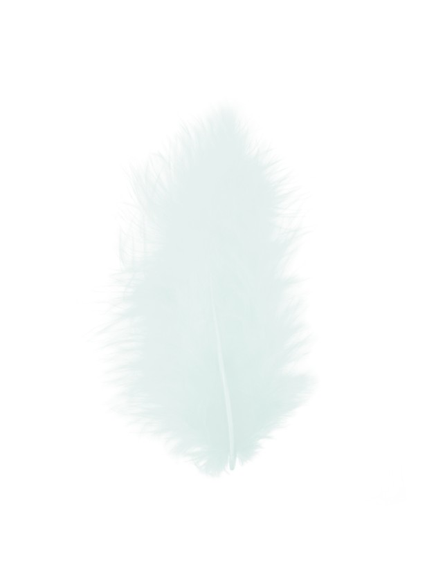 5 FEDERN GRÜN PASTELL 10-15CM