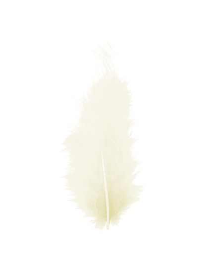 BAG OF IVORY FEATHERS 10G 5-10CM