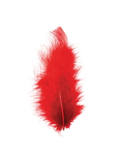 BAG OF RED FEATHERS 10G 5-10CM