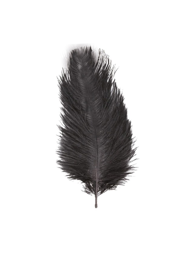 1 STRAUSSENFEDER SCHWARZ 55-60CM