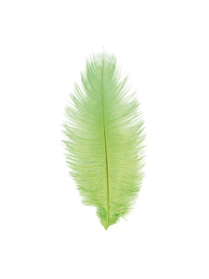 1 STRAUSSENFEDER GRÜN LIME 55-60CM