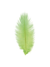 1 STRAUSSENFEDER GRÜN LIME 55-60CM