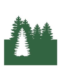 SET 6 TABLE NAME CARDS GREEN FOREST 8CM X 8CM