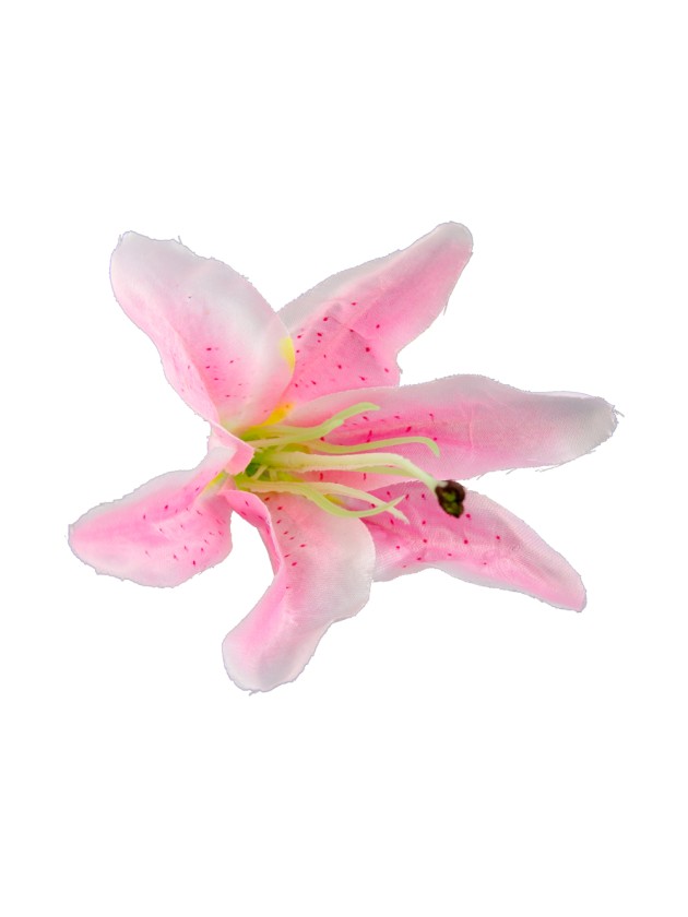 BEUTEL 6 BLUMEN TROPISCHE ROSA 13CM X 12CM