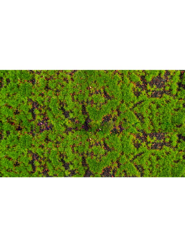 MOSS TABLE RUNNER 25CM X 1M