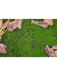 CHEMIN DE TABLE MOUSSE 25CM X 1M