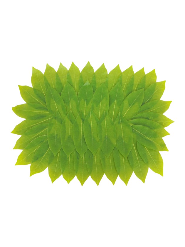PACHIRA LEAVES TABLE CENTER 60CM X 45CM
