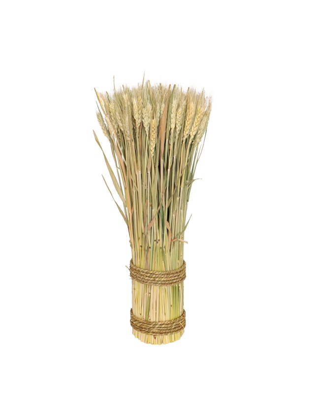NATURAL WHEAT BUNCH DIA 10CM X 50CM