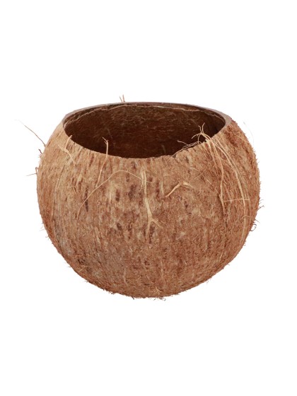 COCONUT DECO DIA 13CM X 10CM