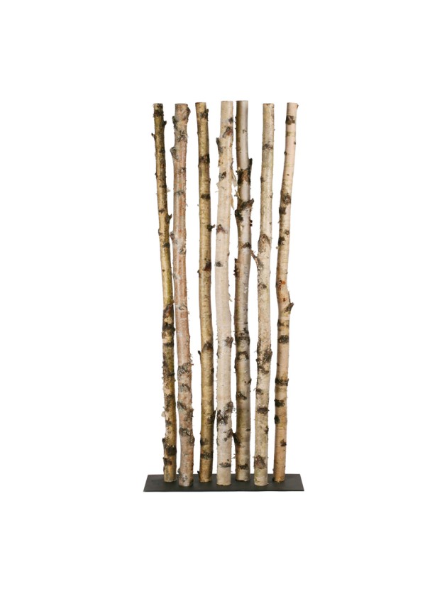 7 TRONCS BIRKE AUF METALLSTÄNDER DIA 5-8CM X 175CM - SUPPORT 25CM X 75CM