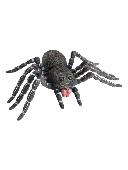 SPINNE SCHWARZ LATEX 46 X 28CM