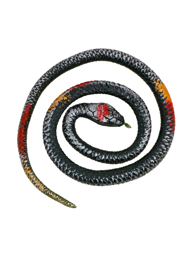 TPR STRETCH SNAKE 77CM