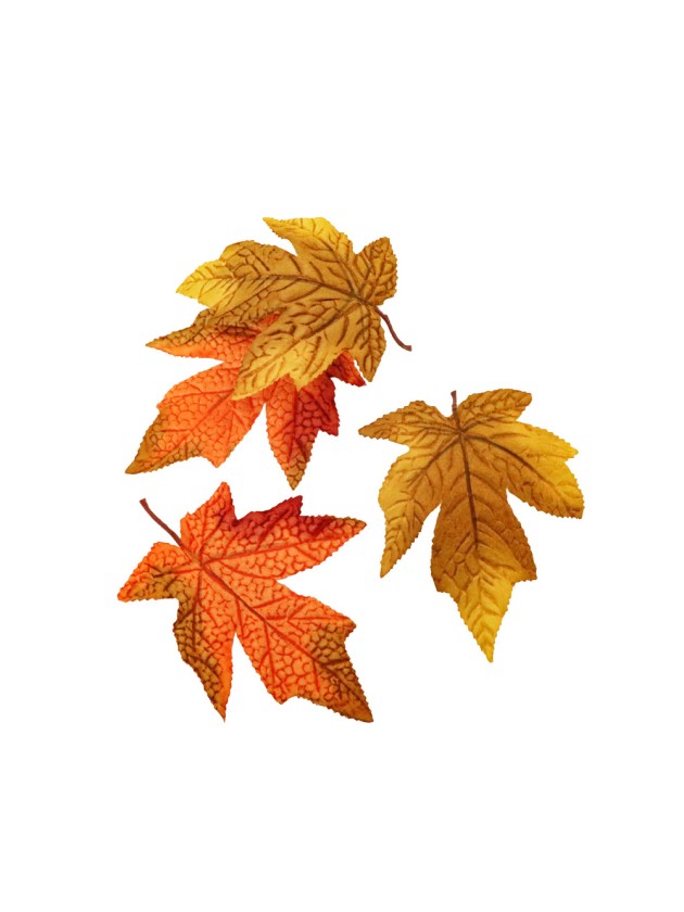 SACHET 12 FEUILLES ERABLE TISSU ENV  14CM X 10CM