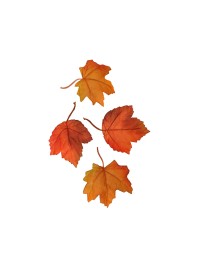 12 AUTUMN LEAVES IN FABRIC  AROUND 11CM X 8CM