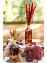 BOUQUET 6 TIGES HERBE DE PAMPA BORDEAUX 65-75CM